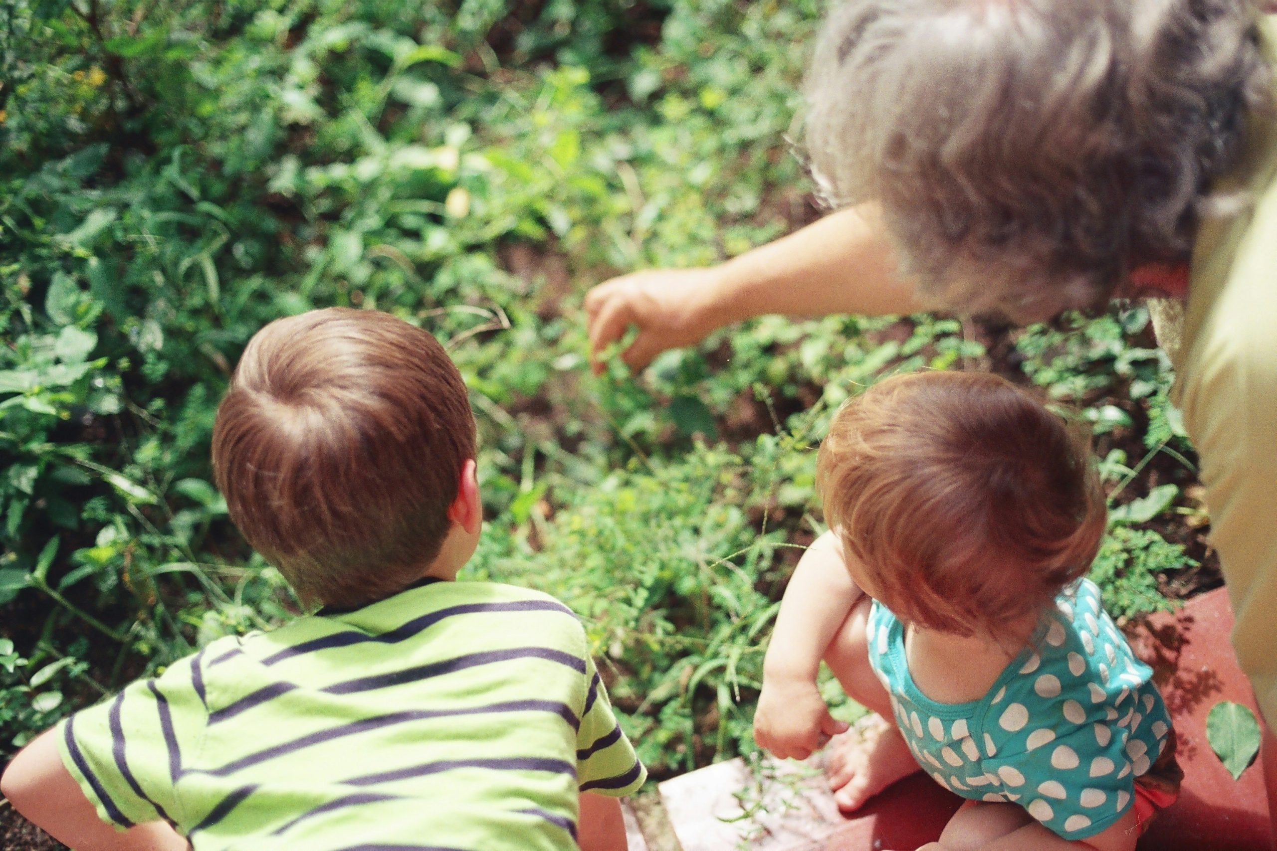 A grandparent serving as a home-based educator in NZ, offering experienced childcare at home in a nurturing setting