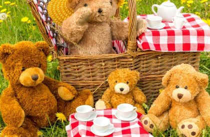 Teddy bears picnic