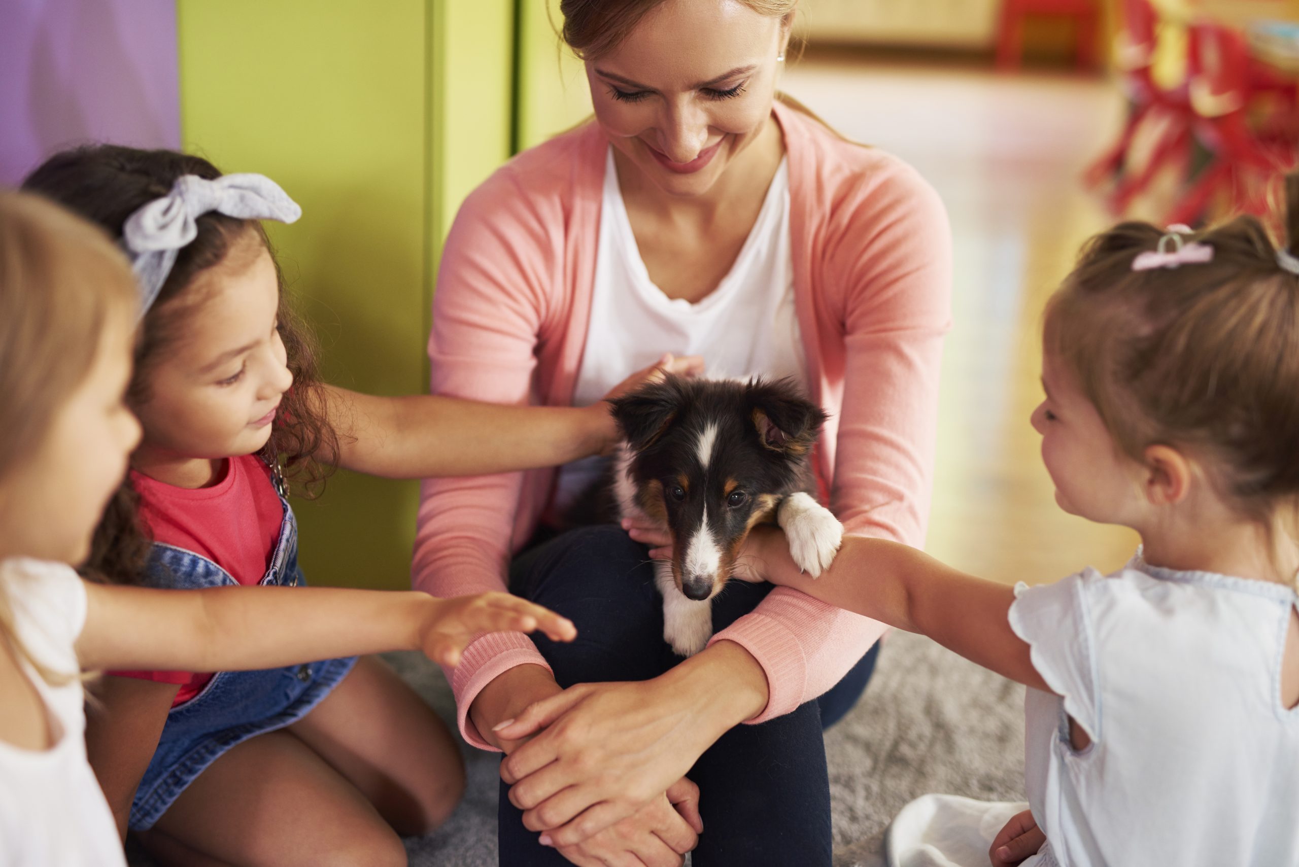 childcare NZ